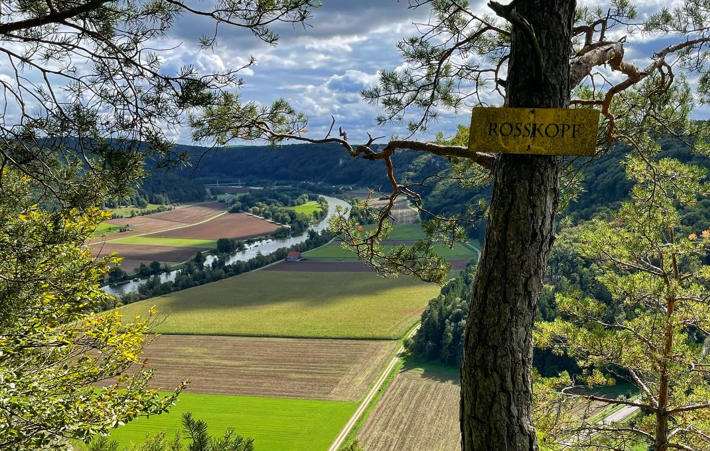 startseite_rosskopf